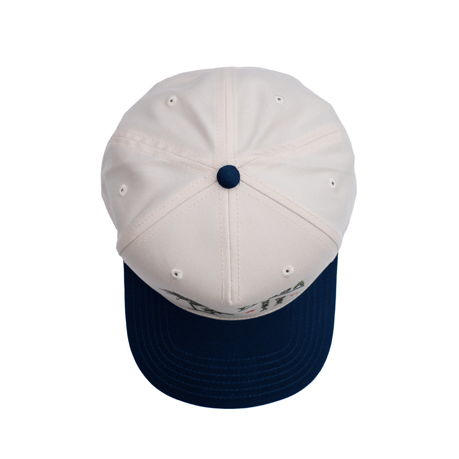 Intern Snapback Natural / Navy