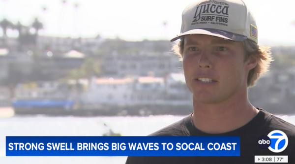 As The Wedge Went Viral, Yucca Fins Were Along for the Ride