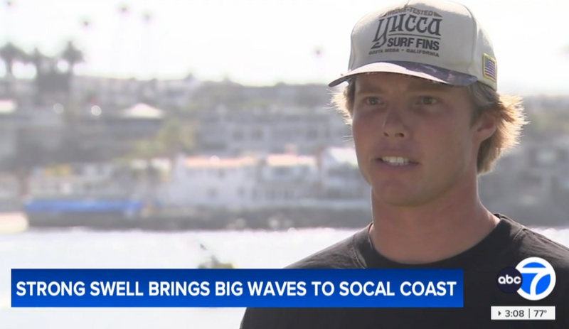  As The Wedge Went Viral, Yucca Fins Were Along for the Ride