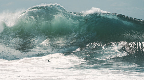 Hurricane Marie Swell - Yucca Fins On Top of the Coverage