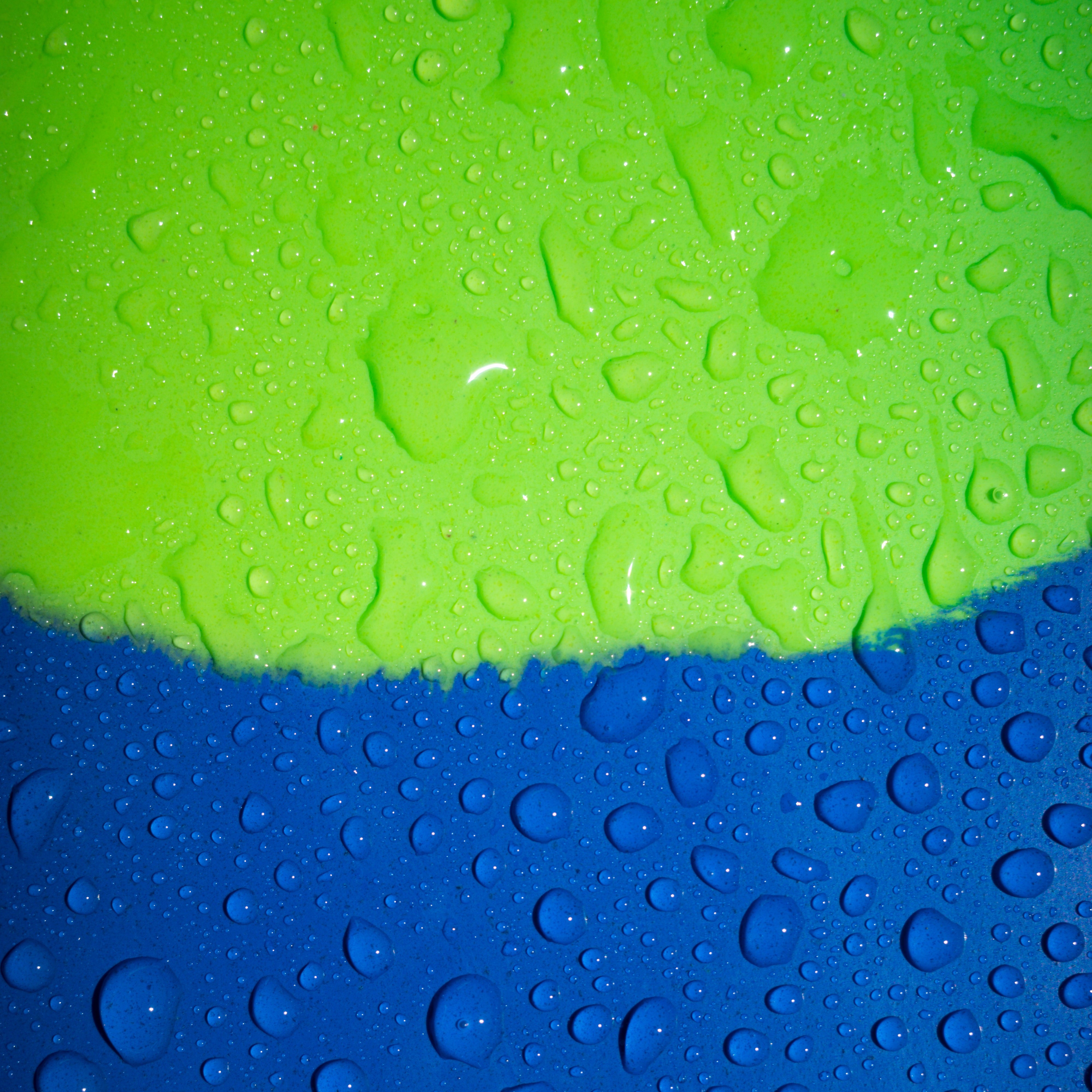 Yucca Sargasso Short Blade Fins - Ultra Soft Flex