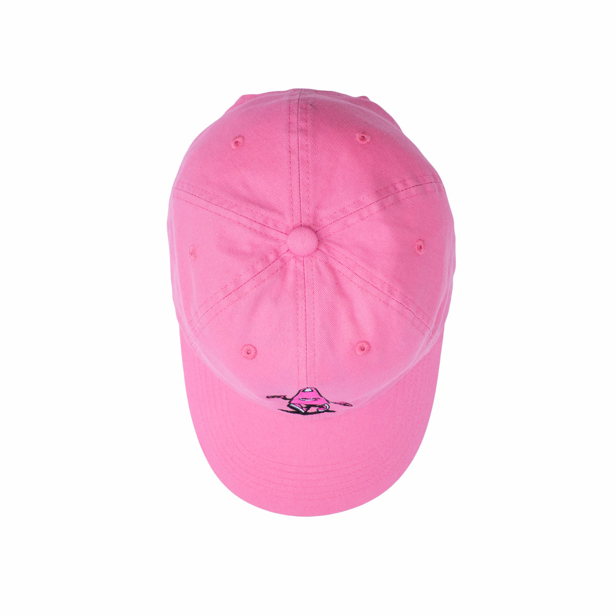 Yuccie Field Trip Hat - Pink